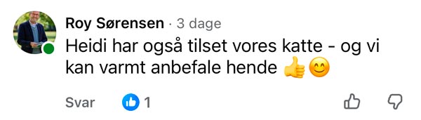 Facebook-anmeldelse fra Roy Sørensen