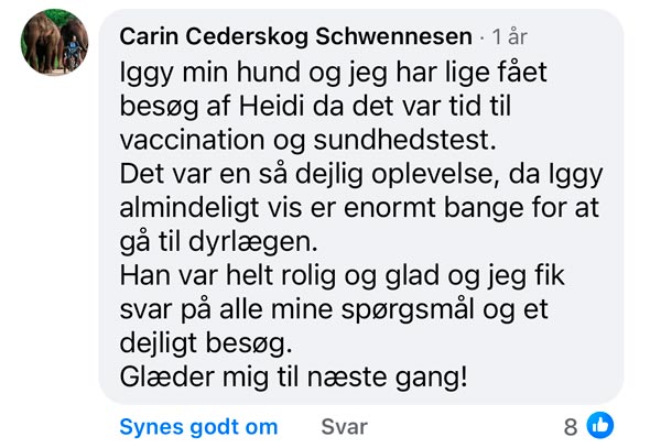 Facebook-anmeldelse fra Carin Cederskog Schwennesen