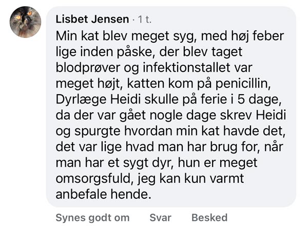 Facebook-anmeldelse fra Lisbet Jensen